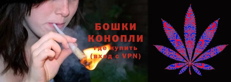 Каннабис SATIVA & INDICA  Дмитриев 